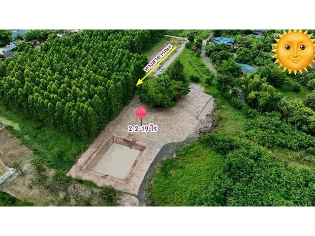 ขายที่ดินขนาด2ไร่ 219ตรว สร้างบ้านได้ นามะตูม พนัสนิคม ชลบุรี