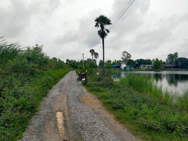 ขายบ่อเลี้ยงปลา13ไร่ ไร่ละ250000-ติดถนนหินคลุก อ.สองพี่น้อง จ.สุพรรฯ เหมาะทำบ้านพัก/สวนผสม/เลี้ยงกุ้งปลาไก่/ร้านอาหาร/บ่อตกปลา