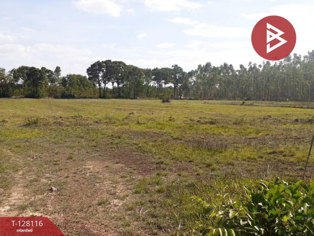 ขายที่ดิน เนื้อที่ 32 ไร่ 77 ตร.วา กบินทร์บุรี ปราจีนบุรี