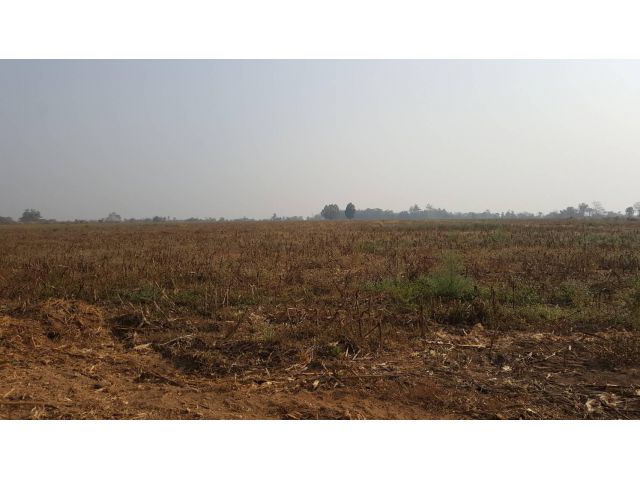 ขายที่ดินติดถนนใหญ่ 10 ไร่ หน้ากว้าง 90 เมตร ถนนหลวงสายบ้านฟ่อน-ห้วยหล๋อ-แม่ทะ ที่สูงปรับถมไม่มาก