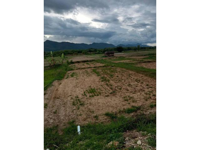 ขายที่นา4ไร่ติดถนนลูกรังห่างจากถนนลาดยางสายหลักหมู่บ้านไปประมาน200เมตรทิวทัศเห็นภูเขารอบด้านติดลำเหมืองมีน้ำในสระเต็มเปี