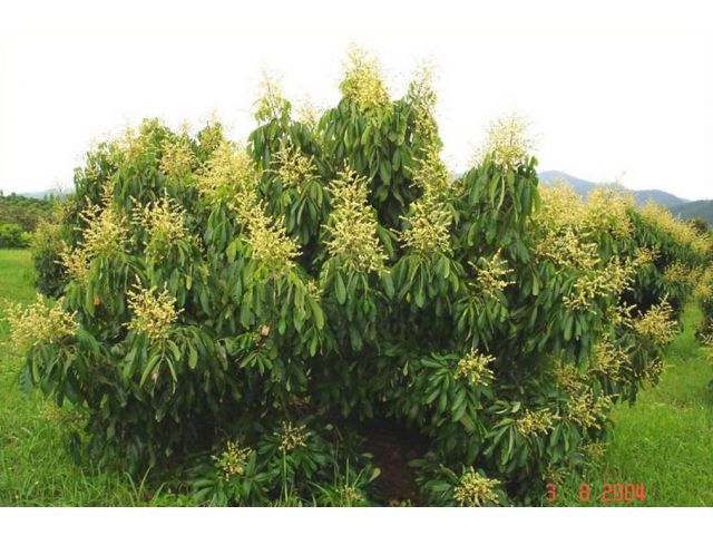 ขายที่ดินสูง ไม่ต้องถม หน้าติดพหลโยธิน(๑) ขากลับจากภาคเหนือไปกรุงเทพ 2-2-14 ไร่ หน้ากว้าง 70 เมตร ใกล้แหล่งท่องเที่ยวฯ