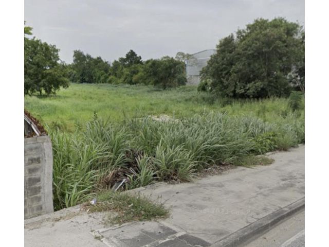 ขายที่ดินแปลงสวย 11 ไร่เศษ ต.หนองซ้ำซาก อ.บ้านบึง จ.ชลบุรี ทำเลดีติดถนนใหญ่เส้น 344 ชลบุรี-บ้านบึง-แกลงระยอง