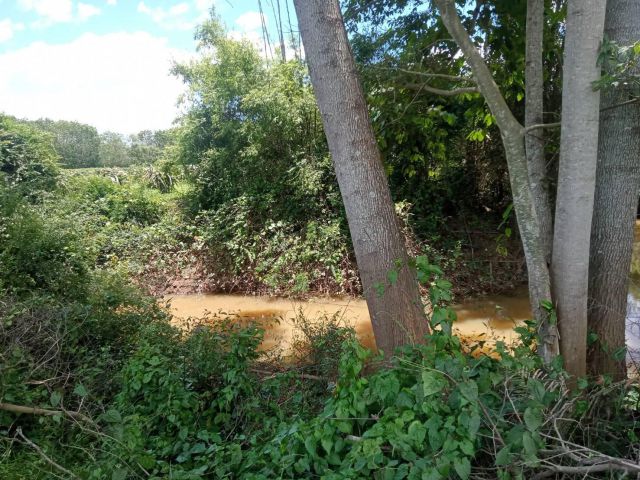 ที่โฉนดภูเรือแถมแก้วมังกร 1000 ต้น ใกล้ลาดยาง เข้าสะดวกติดลำห้วย 14ไร่กว่าไร่ละ190000