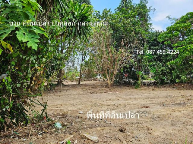 Tel.087 459 4224 ขายที่ดินเปล่า ป่าคลอก ถลาง ภูเก็ต