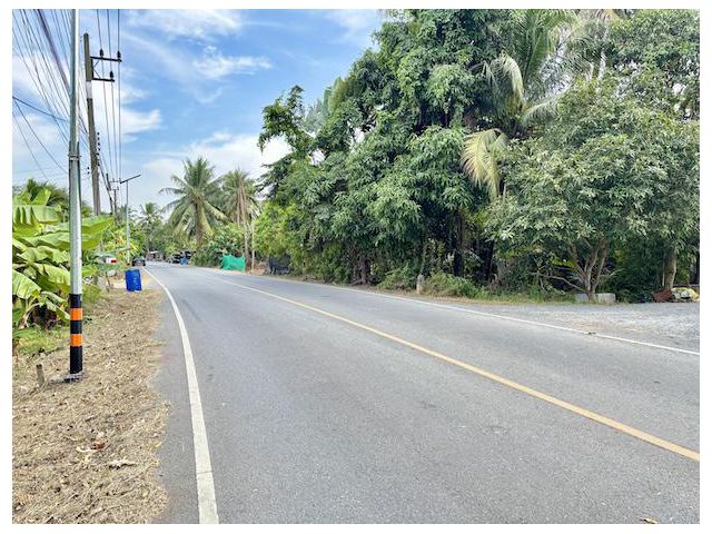 ที่ดิน 3 ไร่ ใกล้วัดหอมเกร็ด หน้าติดถนนลาดยาง แปลงสวย เข้าจากถนนบรมราชชนนี 1 กิโลเมตร