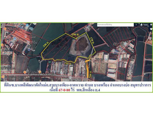 ขายถูกมาก! ที่ดินแปลงใหญ่ 67-0-76 ไร่ ลาดหวาย ต.บางเพรียง อ.บางบ่อ จ.สมุทรปราการ