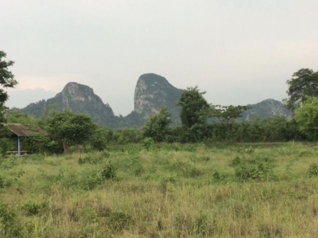 ขายที่ดินวิวภูเขาทำเล สวย