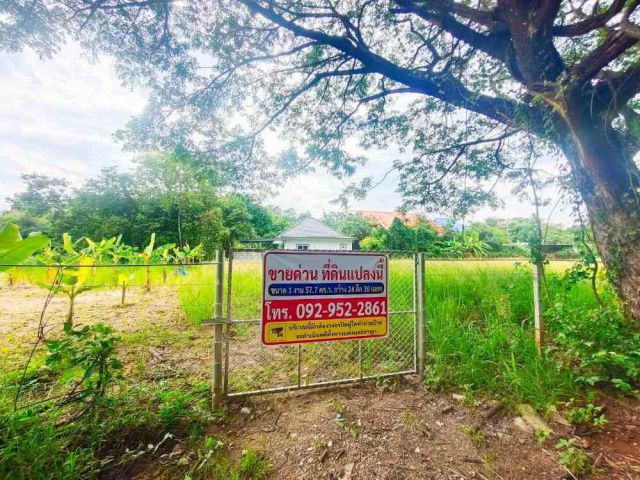 ขายที่ดินเปล่า 157 ตารางวา แยกหลุย ต้นเปา ถมแล้ว