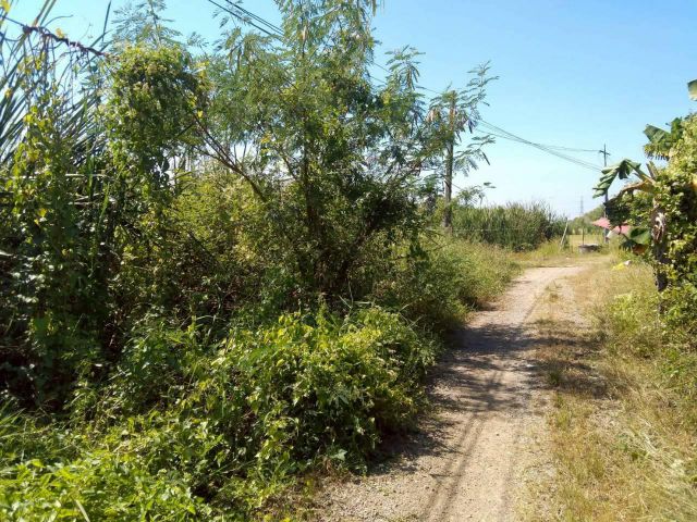 ขาย!!ที่ดินแปลงเล็กสำหรับปลูกสร้างที่อยู่อาศัย หรือทำห้องพักเพื่อเช่าพิกัดคลอง 13ธัญบุรี-ลำลูกกา