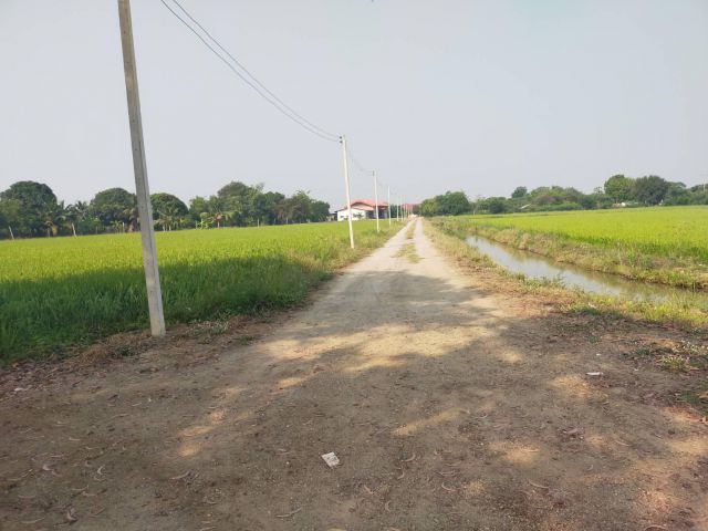 ขายที่ดิน69ไร่ไร่ละ350000-ติดถนนคอนกรีต+คลอง อ.กำแพงแสน จ.นครปฐม.เหมาะทำบ้านจัดสรร/ที่จัดสรร/สวนผสม.ใก้ลถนน321/3231/3020