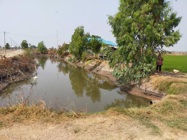 ขายที่ดิน156-ไร่ไร่ละ260000-ติดถนนหินคลุก+คลอง อ.สองพี่น้อง จ.สุพรรฯ.น้ำไม่ท่วม ใก้ลงถนน3422+ปั้มปตท.เหมาะทำทุกอย่าง