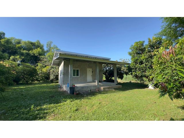 เจ้าของขายเอง บ้านพร้อมที่ดิน 5 ไร่ 1 งาน 89 ตารางวา