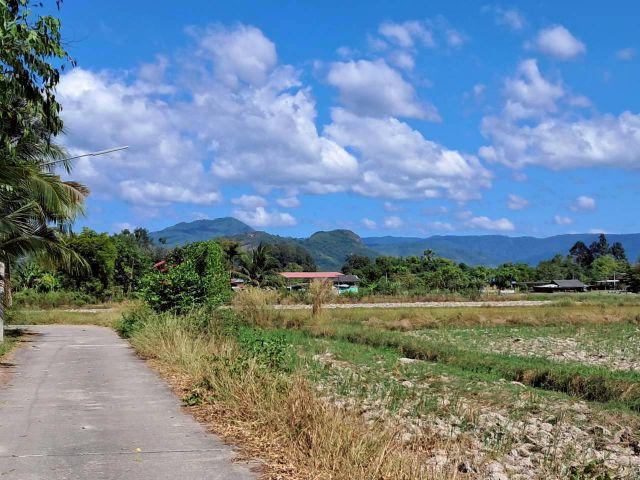 ขายที่ดินโฉนด เนื้อที่ 6-2-64.8 ไร่ ทุ่งนา วิวเขา