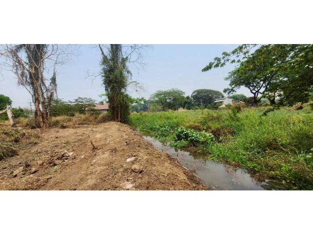 ขายที่ดินในหมู่บ้าน Jc garden สันนาเม็งสันทรายพร้อมโอน