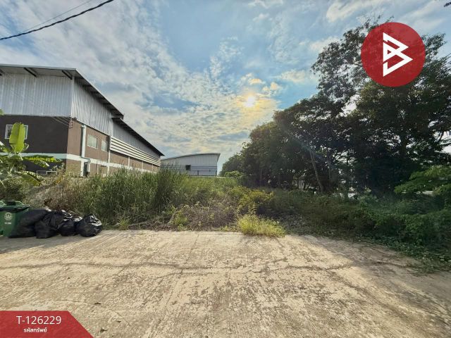 ขายที่ดิน เนื้อที่ 1 งาน 57.6 ตร.วา ราษฎร์นิยม ไทรน้อย นนทบุรี