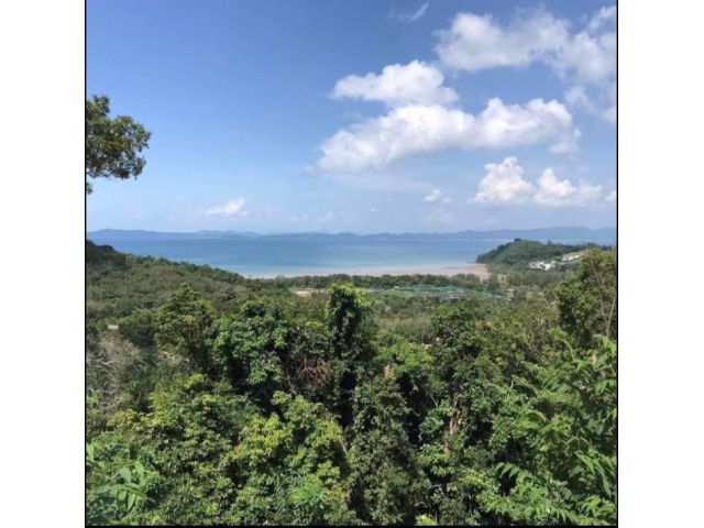 ขายที่ดินซีวิว อ.ถลาง จ ภูเก็ต 18ไร่ๆละ3.5ล้าน