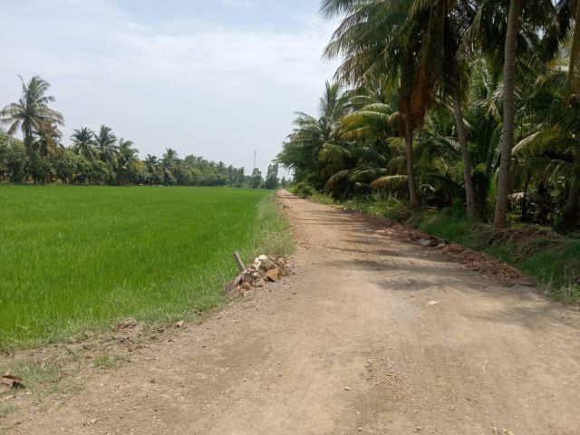 L1131 ขายที่ดินสวนมะพร้าว 19 ไร่ โพธาราม ราชบุรี