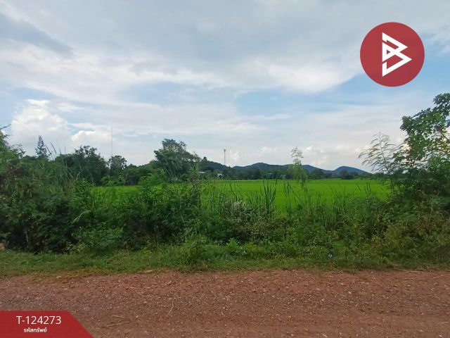 ขายที่ดิน เนื้อที่ 8 ไร่ 1 งาน 24.1 ตร.วา โพธาราม ราชบุรี