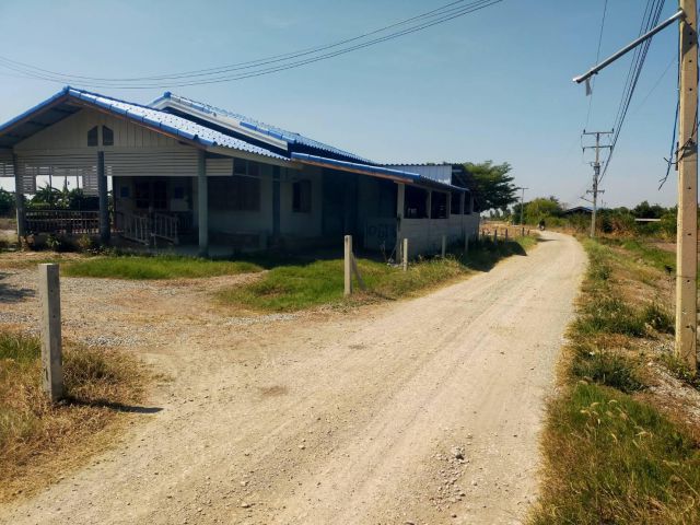 ขายที่ดิน+บ้านพัก+บ่อกุ้ง4ไร่ เหมา1.9ล้าน อ.สองพี่น้อง จ.สุพรรฯ เหมาะพักอาศัย/บ้านสวน.ใก้ลถนน3422/3231