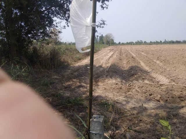 L1132 ขายที่ดินใกล้โรงพยาบาลสวนผึ้ง 20 ไร่ ราชบุรี