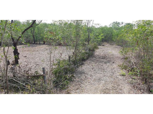 ขายด่วน!!!  ที่ดินใกล้สนามบิน 131 ตรว.