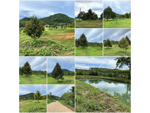 บ้านสวนทุเรียนโฉนด 27ไร่ 3งาน วิวเขารอบ ️