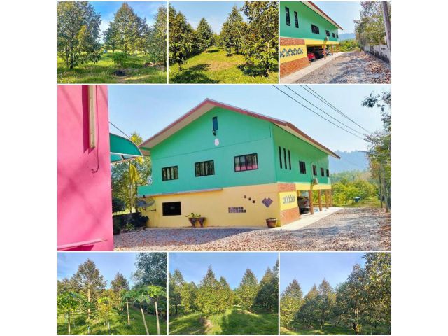 บ้านพร้อมสวนทุเรียนสวย 2 ไร่ วิวเขา️