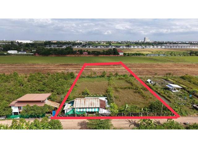 ขายที่ดินนซอยบางโพธิ์เหนือ ใกล้สี่แยกสันติสุข อำเภอเมืองปทุมธานี