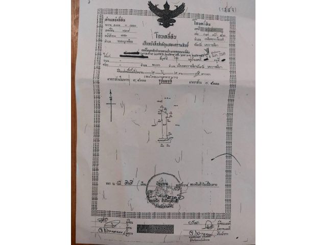 ขายที่โฉนด 3ไร่3งาน61ตรว. ต.หนองงูเหลือม อ.เฉลิมพระเกียรติ ราคาไร่ละ480,000บาททางเข้าออกเป็นหินคลุก(ติดลำตะคอง)