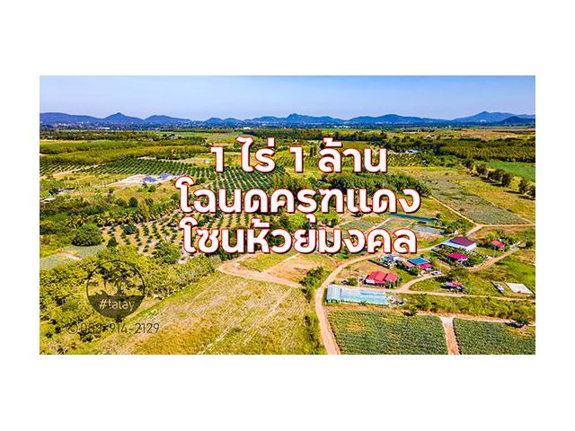 ที่ 1 ไร่ ขาย 1 ล้าน ได้โฉนดครุฑแดง