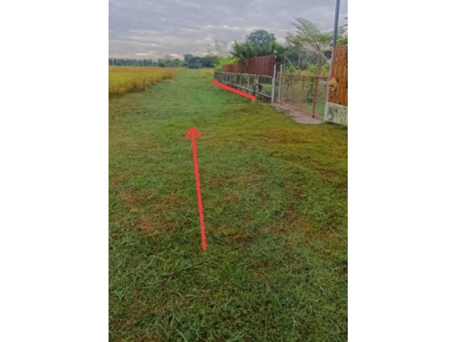 ขายที่ดินบ้านสวนใกล้เมืองอุดรธานี