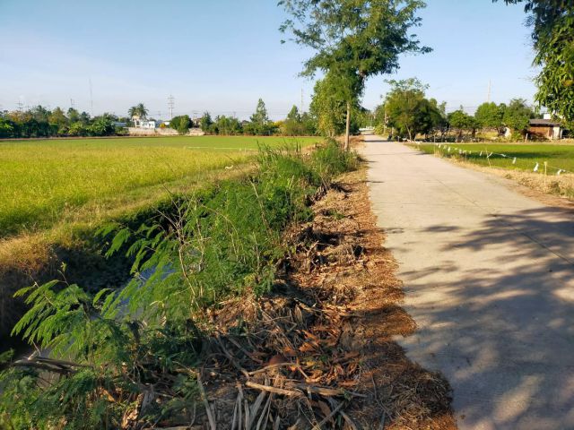 ขายที่ดิน15ไร่ไร่ละ950000-ติดถนนคอนกรีต+คลอง ต.ทุ่งคอก อ.สองพี่น้อง จ.สุพรรฯเหมาะทำบ้านจัดสรร/โกดัง/ ใก้ลถนน321ปั้มปตท