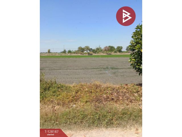 ขายที่ดิน เนื้อที่ 3 งาน ไทรน้อย นนทบุรี