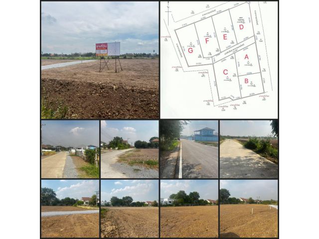 ขายที่ดินจัดสรร ถมแล้ว 7 แปลง ในโครงการหมู่บ้านสวนเกษตรไผ่ขวาง