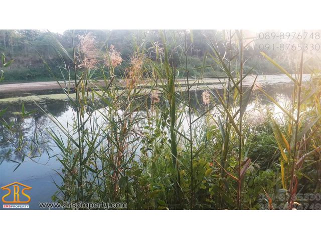 ขายที่ดินติดแม่น้ำวัง1ไร่บ้านนากิ๋มใต้ตำบลนาแส่งอำเภอเกาะคาห่างจากตัเมืองลำปางไป20กิโลจังหวัดลำปางสนใจติดต่อโทร086115124