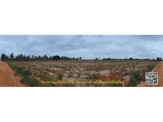 ขายที่ดินแปลงใหญ่ 17 ไร่ 1 งาน 22.1 ตรว. ผังเหลือง ย7 ตะเคียนเตี้ย บางละมุง ชลบุรี