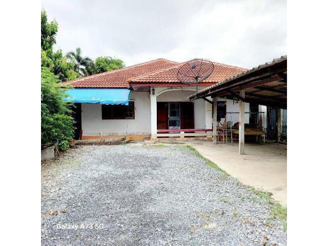 ขายด่วน ที่พร้อมบ้านปูนชั้นดียว สภาพดี ติดถนนลาดยาง เส้นหลัก ใกล้ชุมชนเนื้อที่ 200 ตรว. เหมาะอยู่อาศัยทำธุรกิจค้าขาย