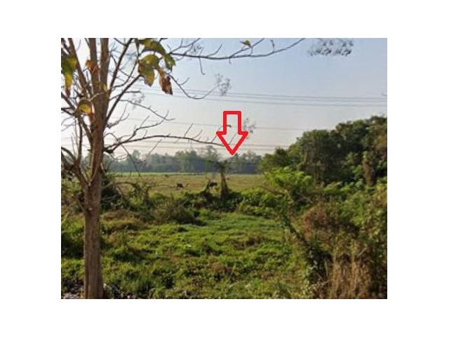 ที่ดินเปล่าดอยสะเก็ด เชียงใหม่ ติดทางหลวงหมายเลย 118 ราคาดีสุดๆ