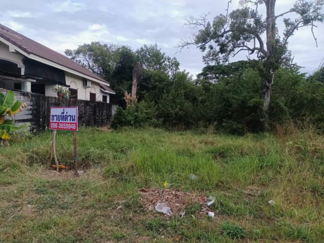 ขายที่ดินด่วนด่วนด่วน