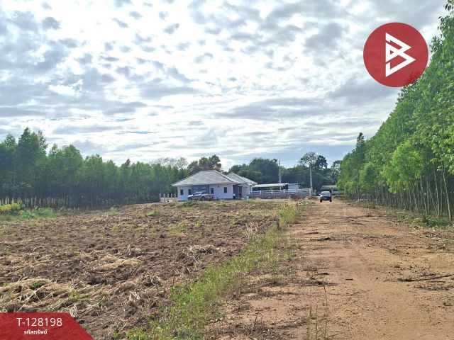 แบ่งขายที่ดิน เนื้อที่ 1 งาน 50 ตร.วา พนัสนิคม ชลบุรี