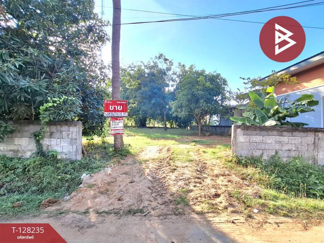 ขายที่ดิน เนื้อที่ 1 งาน 90 ตร.วา จังหาร ร้อยเอ็ด