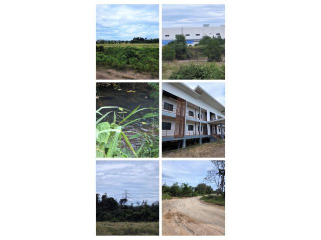 ขายที่ดินสีม่วงเข้มแปลงใหญ่ 134 ไร่ พร้อมสิ่งปลูกสร้าง หนองบัว อ.บ้านค่าย จ.ระยอง พร้อมเอกสารอนุญาตก่อสร้าง โรงหลอม