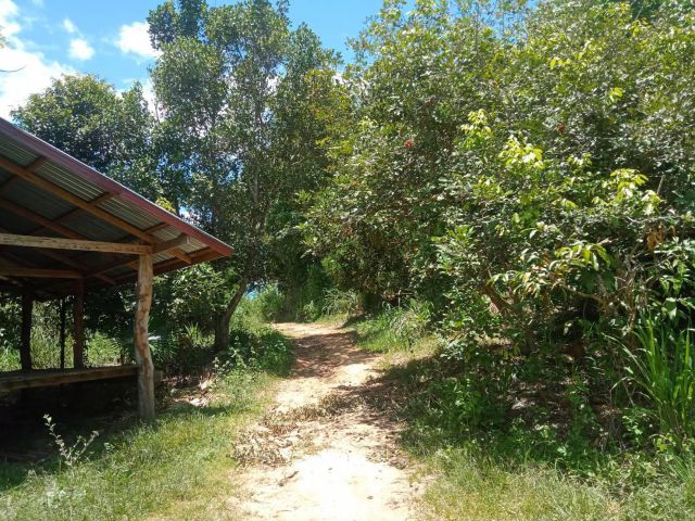 ที่สวยถูกมากสำหรับคนรักบ้านสวน โฉนด 14 ไร่ๆละ 190,000 มีเพื่อนบ้านเข้าสะดวกติดลำห้วยใหญ่ดินดี มีน้ำตลอดทั้งปีปลูกพืชงาม