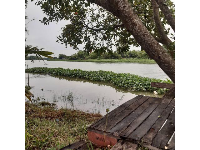 ขายด่วนที่ดินแปลงสวย ด้านหน้าติดแม่น้ำ ด้านหลังติดถนนทำเลดี เนื้อที่ 2-0-38 ไร่ วิวสวยอากาศดีหมาะปลูกบ้านพักอาศัย
