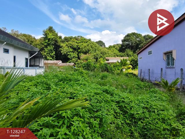 ขายที่ดิน เนื้อที่ 63 ตร.วา สิชล นครศรีธรรมราช