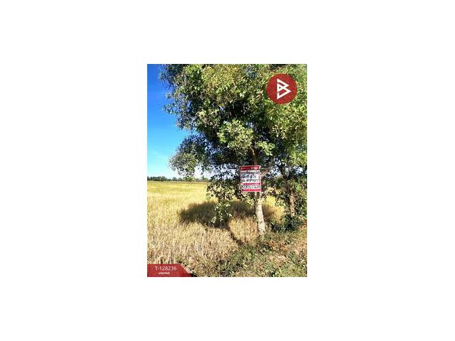 ขายที่ดิน เนื้อที่ 8 ไร่ 66 ตร.วา จังหาร ร้อยเอ็ด