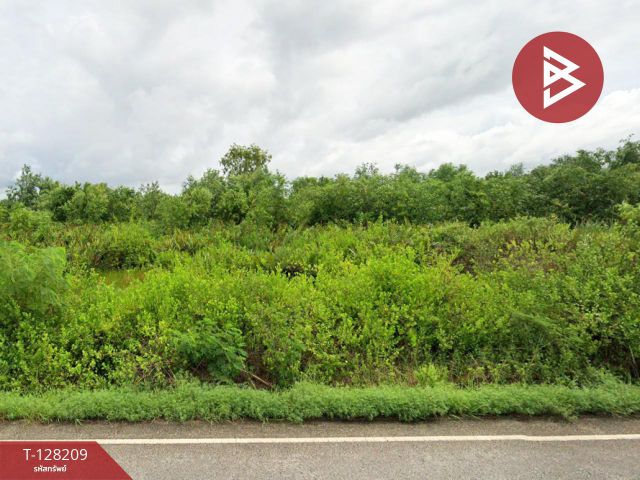 ขายที่ดิน เนื้อที่ 32 ไร่ 9.6 ตร.วา แกลง ระยอง