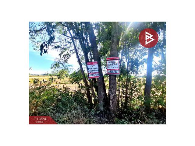 ขายที่ดิน เนื้อที่ 3 ไร่ 1 งาน 5 ตร.วา จังหาร ร้อยเอ็ด