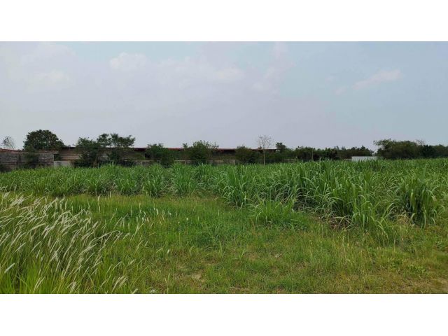 L1135 ขายที่ดินใกล้ถนน.331  25 ไร่ เกาะจันทร์ ชลบุรี